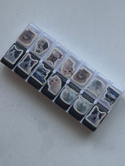 The image displays a collection of approximately 16 black and white cat-themed keycaps, arranged in two rows. Each keycap features a clear plastic casing with a sticker of a cat's face on it. The keycaps are positioned on a white, textured surface, possibly a table or desk. There are no people visible in the image, and the scene appears to be indoors. The image does not contain any information that would allow for the determination of its location in Genemuiden, Netherlands.