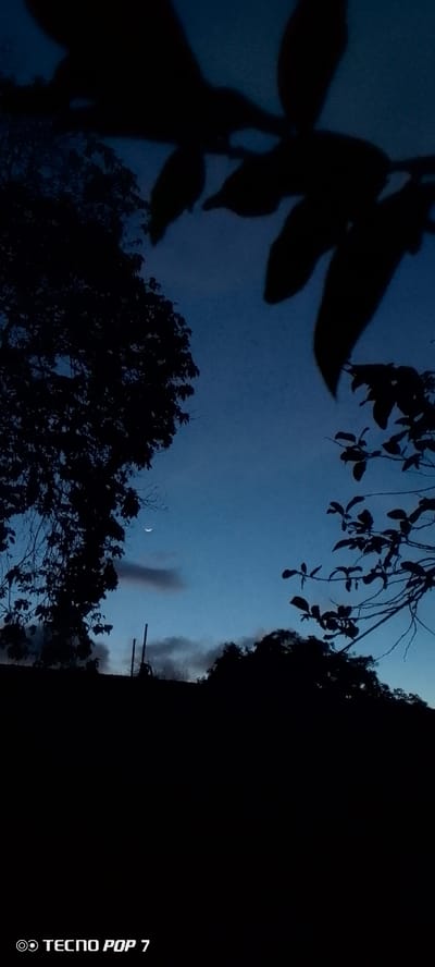 The image captures a twilight scene, likely in Altagracia, Venezuela, characterized by a deep blue sky. A slender crescent moon is visible in the upper left quadrant of the sky. Silhouettes of trees and branches, some with leaves and others bare, dominate the foreground and frame the sky. A few dark, wispy clouds are present near the horizon. The lower portion of the image is obscured by a black band, consistent with the bottom edge of a photograph, which contains the text "TECNO POP 7" in white lettering.