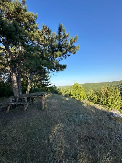 A rustic wooden picnic table and benches sit on a grassy area next to a large pine tree. The table and benches appear to be weathered and handmade. Beyond the picnic area, the landscape slopes down into a valley covered in dense green forest under a clear blue sky. The area is well-lit by sunlight, casting shadows from the tree and picnic structures. The ground is covered with dry grass and some scattered debris, including two small blue and white cylindrical objects near the base of one of the picnic table legs.