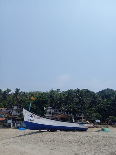 This vertical shot captures a bright, sunny day on a sandy beach in Arambol, India, showcasing a fishing boat dry-docked in the midground. The boat is predominantly white with a blue hull and features several inscriptions. On its bow, a blue cross is painted, accompanied by the words "PRAISE THE LORD" and "ST. ALEX." The side of the boat clearly displays "IND-GA-01-MM-3912" (repeated), likely a registration number, and the name "CARDO50." Near the bow, some blue plastic objects are visible on the sand, while a tangled green fishing net rests closer to the stern.

The foreground consists of clean, light-brown sand with gentle undulations. In the background, a dense array of lush green vegetation, primarily palm trees, stretches across the frame, indicating a tropical coastal environment. Partially visible amidst the foliage are several buildings, suggesting beachside establishments. One sign in the background prominently reads "THIS IS IT." A yellow flag flies from a pole positioned behind the boat. The upper portion of the image is dominated by a vast, clear, light blue sky, confirming bright daylight and fair weather. No people are present, lending a serene and tranquil atmosphere to the scene.