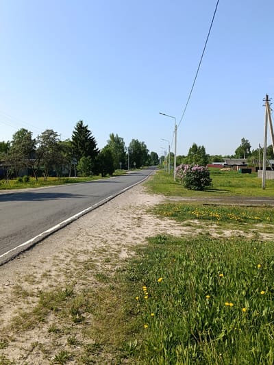 A view of a road in the village of Krasny Mayak, Russia, is visible in the image. The road is black asphalt with white edge markings. The road is flanked by a sandy verge transitioning into grassy areas with scattered dandelions. Streetlights line the right side of the road, and utility poles are visible. Vegetation, including trees and bushes, borders the road. A lilac bush is in full bloom on the right side. The sky is clear and blue. Buildings, including small houses, are visible among the trees. A road sign indicating a pedestrian crossing is visible in the distance. The weather appears to be sunny.