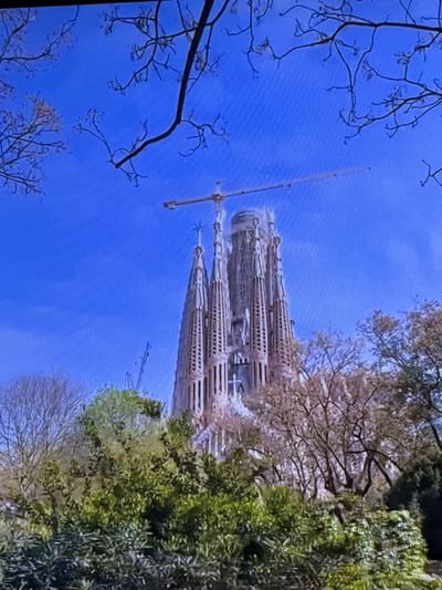 The image depicts a wide shot of the Sagrada Familia basilica under construction, a famous architectural landmark in Barcelona, Spain. The basilica, with its distinctive spires and intricate facades, is seen against a clear blue sky. Cranes are visible around the upper portions of the basilica, indicating ongoing construction work. In the foreground, lush green foliage and trees partially obscure the base of the structure, suggesting a park or garden setting surrounding the basilica. The overall scene captures the impressive scale and ongoing development of this iconic cathedral. The location is Barcelona, Spain, not Dubai, United Arab Emirates.