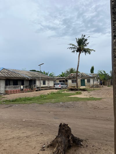 The image depicts a street scene in Badagry, Nigeria, under an overcast sky. In the foreground, a weathered tree stump sits on sandy ground littered with debris. A dirt road stretches into the mid-ground, bordered by a patch of dry grass and more scattered litter. To the left, a long, single-story building with a corrugated metal roof, partially covered in blue tarpaulin, features a covered porch with a patterned railing and dark windows. A solar-powered street lamp stands near this building. Further down the road, a silver minivan is parked in front of another similar single-story dwelling with a green door. A tall palm tree stands prominently to the right of this house. The scene conveys a sense of a rural or semi-urban environment, with the buildings appearing somewhat aged and the unpaved road suggesting a lack of extensive infrastructure. The overall atmosphere is somber due to the cloudy weather.