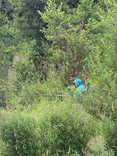 A person wearing a blue hooded jacket and a white baseball cap is fishing in a natural setting. The person is partially obscured by tall green foliage and grasses, with some small pink flowers visible amongst the plants. A fishing rod extends horizontally across the lower portion of the image, held by the person. The background consists of dense green trees and bushes, with a body of water visible on the left side of the frame. The scene appears to be outdoors, possibly in a rural or park area within the Shchomyslitski Sel'ski Sovet, Belarus, given the lush vegetation and natural water feature.
