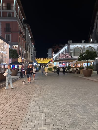 The image depicts a street scene at night in Estosadok, Russia. The street is paved with interlocking bricks and is lined with buildings illuminated by decorative lights. Several people are walking along the street, and some are accompanied by a small dog on a leash. There are shops and restaurants visible along the street, with signage in Russian. The overall atmosphere is that of a bustling pedestrian area at night.