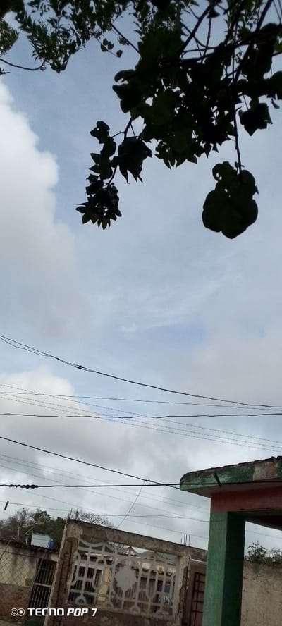 The image shows a view of the sky with branches and leaves of a tree in the foreground. Multiple power lines are stretched across the frame. In the lower part of the image, a section of a building with a green and red painted pillar is visible, along with a concrete wall with decorative cutouts and a metal fence. The lower left corner displays "TECNO POP 7" text. The scene suggests an outdoor environment, possibly a residential area, under a cloudy sky. The specific location in Altagracia, Venezuela is not visually discernible from the provided image alone.