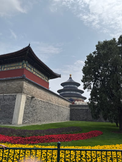 The image captures a view of the Temple of Heaven in Dongcheng District, Beijing, China. The foreground features manicured flower beds of yellow and red with greenery interspersed. A grey brick wall extends to the left, with the blue-roofed Temple of Heaven rising above it. A mature tree looms behind the temple. The sky is overcast with white clouds. The image is angled upward, creating a perspective that emphasizes the height of the structures.