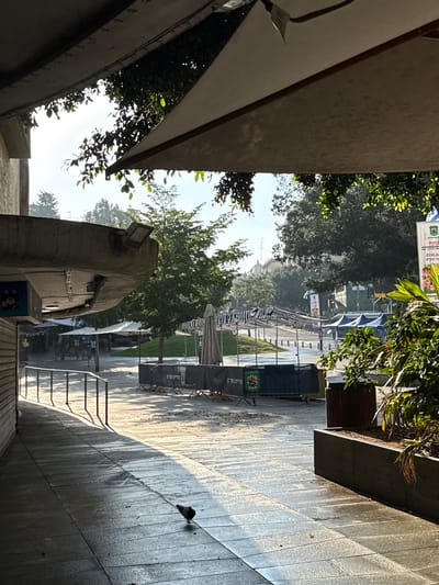 This image depicts an outdoor market area in Ramat Gan, Israel, on a sunny day. The scene is viewed from under a large awning, looking out towards an open plaza. In the foreground, a wet tiled walkway is illuminated by strong sunlight, casting long shadows. A single pigeon stands on the wet tiles.

Further into the plaza, rows of empty market stalls are set up, covered by striped and solid-colored awnings. Some stalls have fences or barriers around them. In the background, lush green trees and some buildings are visible, suggesting an urban setting. The overall atmosphere appears quiet and perhaps early in the day, before the market is in full swing or after it has closed. There are no people clearly visible in the market stalls themselves, though there might be a person in the distance near the left side of the image. The lighting suggests it is either early morning or late afternoon.