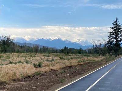 A scenic view of Bishkek City, Kyrgyzstan, shows a paved road with yellow markings in the foreground, curving towards the right. The road is bordered by a patch of disturbed soil and rocks on the left, which transitions into a field of dry grass and sparse green vegetation. In the middle ground, a line of trees forms a natural barrier, with a tall evergreen tree standing prominently on the right. Beyond the trees, a range of majestic mountains with snow-capped peaks stretches across the horizon under a bright blue sky dotted with white clouds.