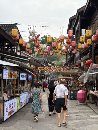 This image depicts a bustling street scene in the Shapingba District of China, likely within a historic or cultural area. The street is paved with stone slabs, and the buildings on either side are traditional Chinese architecture with dark wooden facades and dark tiled roofs. Overhead, numerous lanterns and decorative fish-shaped ornaments are suspended on wires, creating a festive atmosphere.

In the foreground, a group of people are walking down the street. A woman in a dark green polka-dot dress is walking away from the camera, carrying a bag and a plastic bottle. She is followed by an older man wearing a plaid shirt and black shorts, and another person partially visible. Further down the street, more pedestrians are visible, browsing stalls and walking along.

The stalls lining the street are displaying various goods and signage. One stall in the foreground has a prominent white sign with Chinese characters and images of food. Other stalls feature straw-covered roofs and display merchandise. A large, bright pink polygonal sculpture is visible on the right side of the street. The sky is overcast, suggesting a cloudy day. The overall impression is one of a lively marketplace or tourist area.