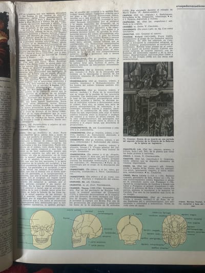 The image is a scan of an encyclopedia page. The main subject is a large, detailed illustration of a human skull, with various parts labeled in Spanish, such as "frontal," "parietal," "occipital," "maxilar superior," and "mandíbula." Below the skull illustration, there are diagrams of a skull from the side and from above, also labeled.
The surrounding text is in Spanish and appears to be an encyclopedia entry. The text is dense and organized into columns, with entries for various terms related to anatomy, anthropology, and potentially art history, indicated by the mention of artists and works. One notable entry is "CRANEOSCOPIA (Del gr. kranos, cráneo, y skopeō, observar)," which discusses the observation of skulls. Another is "CRANEOMETRÍA (Del gr. kranos, cráneo, y metron, medida)," dealing with skull measurement. There is also an entry for "CRASPEDOMONADACEAE," which seems to be a biological term.
The page also contains a smaller black and white illustration of a historical scene, likely a painting, depicting several figures in what appears to be an interior setting. The text below this illustration reads, "Th. Cranmer. Escena de su muerte en una portada del segundo volumen de la Historia de la Reforma de la Iglesia en Inglaterra." This indicates the illustration depicts the death of Thomas Cranmer and is from a historical book about the English Reformation.
The overall presentation suggests an informational resource, likely an encyclopedia or dictionary, with a focus on scientific and historical knowledge. The image is well-lit, with clear text and illustrations.