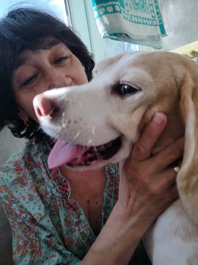 This is a close-up, vertical, candid photo of a woman and a dog. The woman, with dark hair and closed eyes, is looking down at the dog, which is partially obscuring her face. She is wearing a light blue shirt with a floral pattern in pink, yellow, and green. A gold hoop earring is visible on her left ear. The dog, a light-colored Beagle, is nuzzling the woman, with its tongue lolling out. Its nose is pink and wet. The background is out of focus, but a light-colored towel with a geometric pattern in blue and white is visible hanging near a window, suggesting an indoor setting. The lighting appears to be natural and bright, possibly indicating daytime. The mood seems affectionate and intimate. There is no visible text. The location context is Odesa, Ukraine.