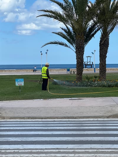 A man in a fluorescent yellow vest and hat is watering a grassy area near the beach in M'Diq, Morocco. He is using a yellow hose, and water is spraying from the nozzle. The location is alongside a concrete promenade with alternating gray and white stripes. Palm trees are visible in the background, along with the blue ocean and sky with scattered clouds. A sign with Arabic text and symbols is planted in the grass. Lampposts are also seen along the beach area. In the distance, a lifeguard observation tower can be observed.