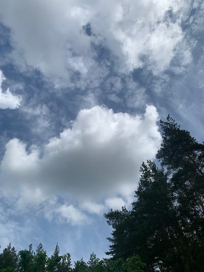 The media file shows a view looking up at a cloudy sky with some trees in the foreground, suggesting an outdoor scene. The clouds are a mix of white and gray, with some areas appearing lighter and fluffier while others are denser and darker. The sky is blue, indicating daytime. The trees are dark green and appear to be coniferous, with some foliage visible on the right side of the frame as well. The overall impression is one of a natural outdoor environment. There is no text visible in the image. The weather appears to be partly cloudy, and the time of day is likely daytime. The location context provided is Kharkiv, Ukraine.