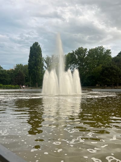 The image depicts a serene park scene with a large fountain at its center. The fountain shoots a powerful stream of water upwards, creating a misty spray that catches the light. The water in the fountain pool is calm, with ripples and white foam scattered across its surface, reflecting the surrounding trees and sky.
In the background, lush green trees line the edge of the park, their leaves forming a dense canopy. A paved walkway runs alongside the fountain, and a few people can be seen strolling or standing by the water's edge, enjoying the view. The sky above is overcast with soft, gray clouds, suggesting a mild, possibly humid day. The overall atmosphere is peaceful and relaxing, hinting at a leisurely afternoon in a city park.
The location is identified as Odesa, Ukraine. There is no visible text within the image.