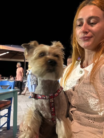 A medium shot captures a woman with long, reddish-blonde hair holding a small, light-brown Yorkshire terrier. The woman is wearing a white eyelet blouse and a silver necklace. The dog, wearing a red harness with a Snoopy print, is in the foreground and slightly out of focus. In the background, on a wooden deck, people are seen at tables under a large canopy. To the left, a blue table and chair are visible. The scene appears to be an outdoor dining area at night in Petrovac centar, Montenegro.