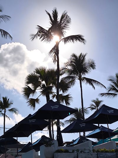 The image depicts a sunny day at a beach in Canggu, Indonesia. Several palm trees are silhouetted against the bright sky, with the sun shining through the foliage of the tallest tree. Below the trees, numerous dark blue beach umbrellas are set up, and a white wall runs along the bottom of the frame, partly obscuring a building or structure labeled "AMALI."