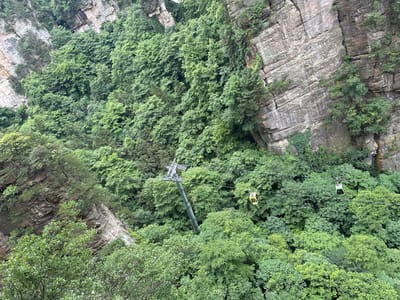 The image depicts a view of the Zhangjiajie National Forest Park in Zhonghu, China. The angle suggests looking up from a low vantage point in a mountainous, heavily vegetated area. The scene features a cable car system with cars suspended between cliffs and trees. One cable car is yellow, another one is white, and a cable car support tower. The surrounding environment includes rocky cliffs and dense green foliage consisting of trees and plants.