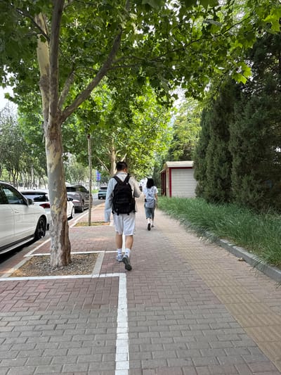 Two individuals, a male wearing a black backpack and white shorts, and a female wearing a light blue backpack and pants, walk away from the camera on a brick sidewalk in Daxing District, China. The sidewalk is lined with green grass and trees. Cars are parked on the left side of the street. A small white building with red trim is visible in the background. The lighting suggests it is daytime.