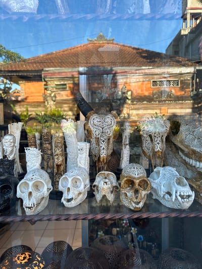 This media file shows a display of carved objects, likely souvenirs, in what appears to be a shop window. The objects are predominantly white and intricately carved, with many resembling skulls and bone fragments decorated with ornate patterns. Some of these objects are larger and more detailed, featuring carved facial features and teeth. Interspersed with these are darker, metallic objects with cut-out designs, possibly lanterns.
The scene is viewed through glass, which creates reflections of the surroundings. These reflections show a building with terracotta tiled roofs and orange-colored walls, suggesting a location in a tropical or warm climate. The sky in the reflection is a clear blue, indicating fair weather and likely daytime. There are also reflections of greenery, possibly trees or plants, adding to the outdoor impression.
The arrangement of the objects is layered, with some placed in front of others. The lighting appears to be natural daylight, with some internal lighting contributing to the display. The overall impression is one of a shop selling decorative and possibly cultural items in a warm, sunny location, with the reflections adding depth and context to the displayed objects. The specific location context of Ubud District, Indonesia, reinforces the likelihood of these being handcrafted items with local artistic influence.