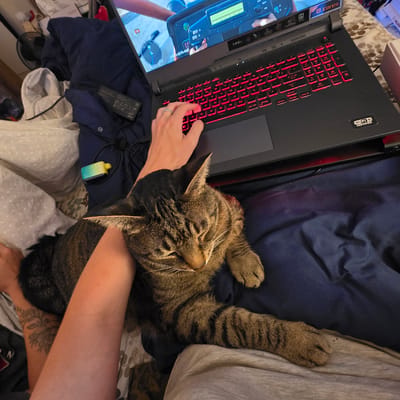 In Portland, United States of America, a person's arm, adorned with a floral tattoo, is draped over a tabby cat that is lying down. The cat's eyes are closed, and its head rests on the person's arm. In the background, a black laptop with red-backlit keys is open, displaying a video game. A charger for the laptop is visible, as is a small, colorful electronic device. The scene appears to be set in a bedroom, with a bed covered in various fabrics, including dark blue and patterned sheets, and a small fan in the distance. The lighting is dim, with the primary illumination coming from the laptop screen.
