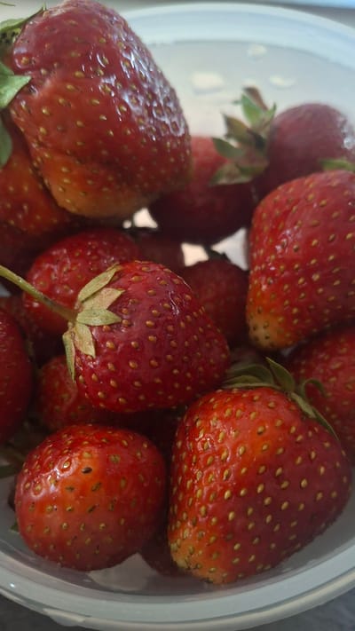 A close-up, overhead shot shows a clear plastic bowl filled with ripe strawberries. The strawberries are a vibrant red, some with a slight orange hue at the stem. They are textured with numerous small, yellow seeds dotting their surfaces. A few green leaves are visible on some of the strawberries. The bowl appears to be sitting on a light-colored surface, possibly a table. The background is blurred, suggesting an indoor setting. There are no people or other discernible objects in the image. The location is identified as Stowbtsy, Belarus.