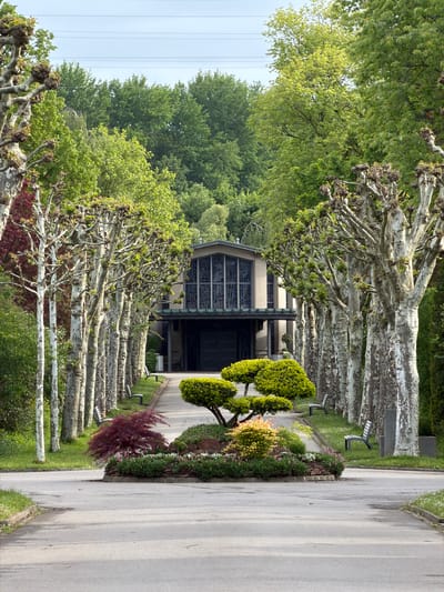 The image depicts a tree-lined avenue leading towards a building, likely a chapel or mausoleum, within a cemetery. The avenue is paved, with rows of meticulously pruned trees lining both sides. There are benches placed along the avenue. A flower bed runs alongside the pavement on the right side of the image. The style of the building and the presence of pruned trees suggest a location in Europe, specifically in the city of Esch-sur-Alzette, Luxembourg. The sky is overcast. No people are visible in the image.