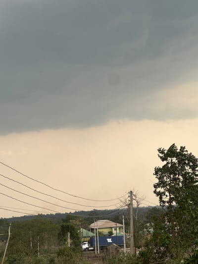 This image captures a semi-urban or rural landscape in Ipetumodu, Nigeria, under an overcast sky. The upper approximately 40% of the frame is dominated by heavy, dark grey clouds, while the lower portion of the sky appears a lighter yellowish-brown, indicating atmospheric haze or specific lighting conditions.
In the foreground, four dark, parallel utility wires stretch horizontally across the lower-mid section of the image from left to right. To the right, a weathered wooden utility pole supports these wires, with additional tangled wires and bare branches extending from its top. Immediately to the right of the pole, a large, leafy green tree partially obscures the view. The ground directly beneath the utility lines and in the mid-ground is rough, unpaved terrain with sparse, low-lying green vegetation and brown patches of earth.
In the mid-ground, a white truck with a blue shipping container is visible, positioned facing towards the left. The container features a white "K" or "K Line" logo on its side. Behind the truck, a single-story building with light yellow walls and a light yellow-green hip roof is prominent. Further back and slightly to the left, another building with a dark green roof is partially visible amidst trees.
The background consists of a range of low hills or elevated terrain, densely covered in dark green foliage, appearing somewhat obscured by atmospheric haze. No individuals are discernible within the frame. The overall environment suggests a mix of natural vegetation and human habitation, with visible infrastructure for utilities and transport.