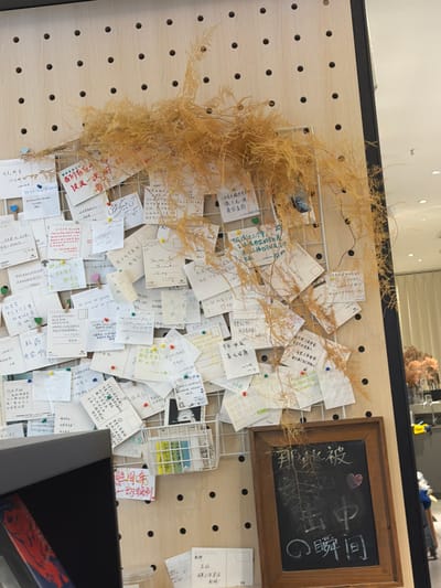 The image displays a detailed view of a message board set up in an indoor public space, likely within the Chongqing High-tech Zone, China. The primary subjects are a light wooden pegboard serving as a backdrop, overlaid with a white metal grid. Numerous small, light-colored notes, postcards, and cards are attached to this grid using pins and small wooden clips, creating a dense, layered collage of handwritten messages.

A large arrangement of dried, light brown foliage (resembling dried asparagus fern or similar decorative grass) is prominently draped over the left side of the metal grid, adding a natural, rustic element to the display.

In the upper right corner, a small blackboard framed in wood is visible. Written in chalk are Chinese characters: "那些被" (Those that were), followed by a heart symbol, and "○瞬间" (moments/instants), which together might translate to "Those moments." Below this, "缶中" (in the can/jar) is also partially legible.

The cards bear various handwritten messages, primarily in Chinese, but notably, two separate notes show visible Persian script ("چای" - tea, and "آن چیز که درین" - that which is in this), suggesting a diverse array of contributors or an international theme. Visible Chinese phrases include "未来会越来越好!" (The future will be better and better!), "心之所向" (What the heart desires), "一切顺利" (All goes well), "大学!" (University!), "希望自己可以 平安順益 喜乐安康" (Hope I can be safe and well, joyful and healthy), and "开学啊只" (School starts!). One English phrase, "Be kind to you[rself]," is also visible. The collection of messages suggests a communal activity where individuals share wishes, reflections, and aspirations.