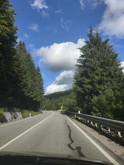The image captures a view from inside a vehicle driving on a paved road through a forest. The road curves to the left, bordered by a metal guardrail on the right and a rocky embankment with sparse vegetation on the left. Tall evergreen trees line both sides of the road, with a denser forest covering the hills in the background. The sky is bright blue with scattered white clouds. A yellow sign indicating a curve is visible on the right side of the road. The ground has some dark, wet patches. A small, green structure resembling a shelter is situated on the left side of the road further ahead. This scene is consistent with a road in the mountainous region surrounding Borșa, Romania, known for its extensive forests and winding roads.