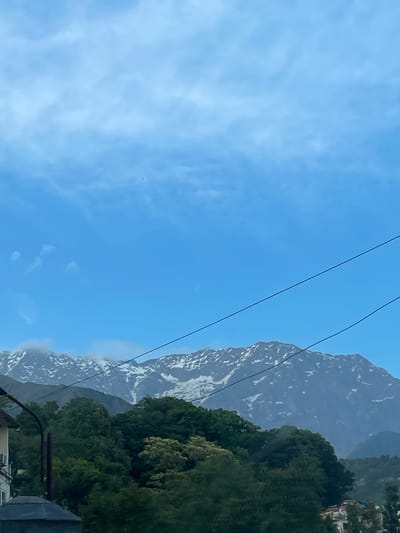 The image shows a landscape view in Dharamshala, India. Dominating the right side of the frame is a snow-capped mountain range, partially obscured by a dense green forest at its base. In the foreground, utility wires stretch across the upper portion of the image. The sky, a clear blue with scattered clouds, fills the left side. In the lower right corner, parts of buildings and rooftops are visible, suggesting an urban or suburban setting at the foot of the mountains.