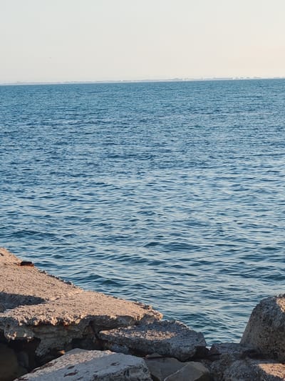 The image captures a section of the sea with a distant coastline. In the foreground, broken concrete structures, likely part of a breakwater or pier, are visible. The sea is a calm blue, with gentle ripples. The horizon shows a thin line of buildings on the coast, suggesting a populated area. A small bird is seen flying in the sky. The scene appears to be located in Nesebar, Bulgaria, given the mention of the city in the prompt.