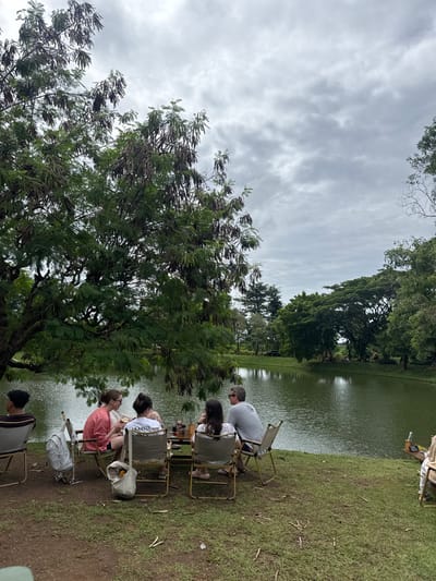 The image captures an outdoor gathering by a body of water on a cloudy day. The scene is oriented in landscape, depicting a grassy bank alongside a calm lake or large pond, with lush trees and an overcast sky.
At least five individuals are seated in portable folding chairs along the edge of the grassy bank, facing the water. From left to right in the main group of four:
A person wearing a light pink or coral-colored top is seated, facing slightly to their right. Next to them, a person in a white t-shirt with the word "LOVEST" clearly visible on the back is also seated, facing the water. A white plastic bag is placed on the ground near their chair. Further to the right, a person with dark hair and a light-colored top is seated. Adjacent to them, a man wearing a light gray t-shirt with sunglasses on his head is seated, looking towards the water or the people beside him. Small portable tables with drinks and other items are positioned in front of these groups. In the immediate foreground on the right, a fifth person with dark hair and a dark top is partially visible, also seated in a folding chair. In the far background, further down the bank, two additional figures are faintly seen seated.
A large, prominent tree with dense green foliage and numerous elongated, dark brown seed pods or dried leaves dominates the left side of the frame. The ground is covered in green grass, sloping gently towards the water. The body of water itself appears calm, reflecting the muted light of the sky and the surrounding trees, and is a dark green-brown color. The far bank of the water is lined with a dense growth of various green trees. The sky is entirely covered with light gray, diffused clouds, suggesting an overcast day with no direct sunlight. The activity appears to be a relaxed outdoor social gathering, possibly a picnic or a leisurely time spent by the water.