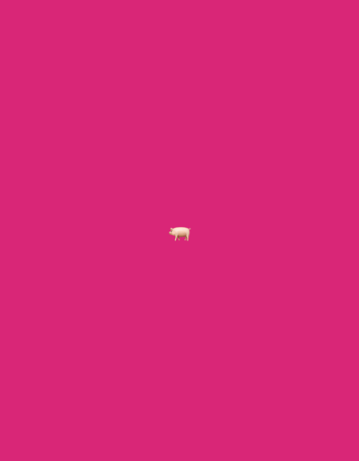 The scene, located in Erba, Italy, displays a single, stylized, light-pink pig emoji centered against a uniform magenta background. The pig is oriented to its left, with minimal detail, presenting a static image. No other subjects, objects, actions, or environmental details are present.