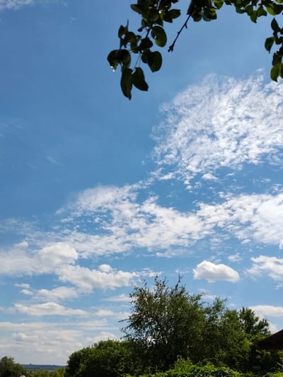 This is a daytime, eye-level, vertical shot of a bright blue sky with scattered white clouds. The top of the image is framed by the dark green leaves and branches of a tree, with a single dewdrop visible on one leaf. In the lower portion of the image, a dense line of green trees and foliage forms the horizon, with a distant, hazy landscape visible beyond. A dark, angled roofline is present on the far right edge of the frame. The scene appears to be a natural outdoor environment, possibly a rural area or park within the city of Ustyvytsia, Ukraine.