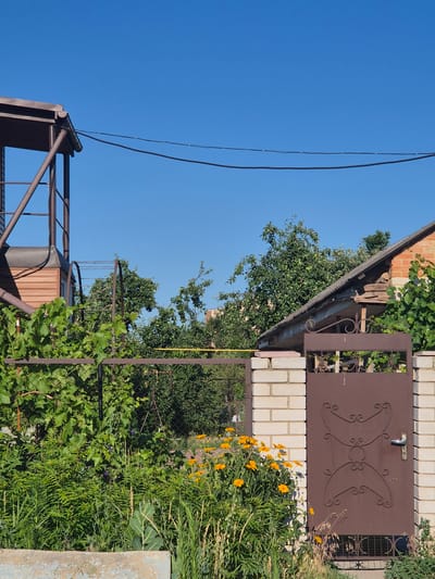This is a vertical, eye-level, medium shot of a rustic backyard gate and surrounding foliage on a sunny day. The gate is made of dark brown metal and features decorative scrollwork. It is set within a light-colored brick wall. To the left of the gate, a sloped wooden roof with a metal gutter extends over some greenery. Overhead, clear blue sky is visible, with power lines crossing the frame. In the foreground and to the right of the gate, lush green plants and bright orange flowers are abundant, creating a vibrant natural scene. The setting appears to be a residential area in Sozonivka, Ukraine, likely during the daytime. There is no visible text in the image.