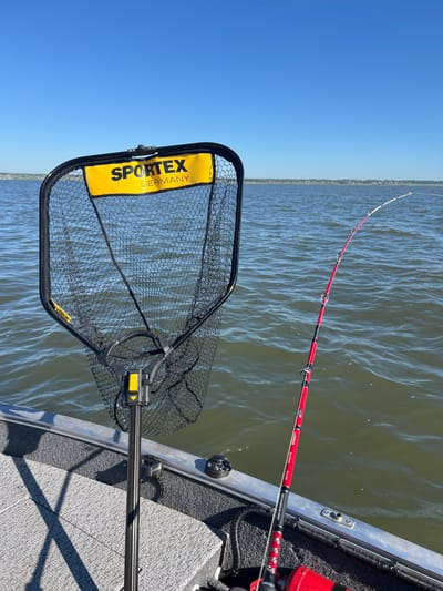 This is an eye-level, medium shot of a fishing net and fishing rod from the perspective of someone in a boat on a body of water. The fishing net, featuring a yellow label with "SPORTEX GERMANY" written in black, is positioned on the left side of the frame. Its black mesh net is visible, and its handle is black with a yellow accent. To the right of the net is a red fishing rod with black accents, its tip bent slightly, indicating it is in use or has tension on it. The rod has several silver guides. The boat's interior, covered in gray carpet, is visible in the foreground, with its metallic edge to the left. The background consists of a vast expanse of greenish-brown water under a clear, bright blue sky. The distant horizon shows a faint line of trees and buildings, suggesting a populated shoreline. The overall scene depicts a fishing activity on a sunny day.