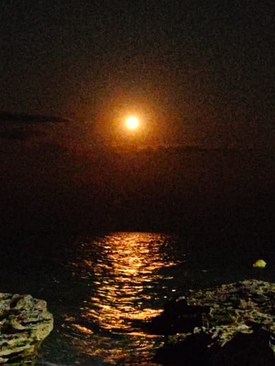 The image depicts a night scene at the coast of Odesa, Ukraine, with the moon prominently featured in the sky. The moon is a bright, circular object with an orange hue, casting a shimmering reflection on the dark water below. The reflection is a path of golden light, broken by ripples on the surface of the sea. The foreground of the image shows rocky terrain, with some of the rocks appearing to be covered in vegetation. The overall atmosphere is dark and serene, characteristic of a night by the sea.