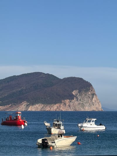 In Petrovac Centar, Montenegro, a clear blue sky is visible above a calm, deep blue sea. In the distance, a large, tree-covered mountain with rocky cliffs dominates the horizon. In the foreground, several boats are moored in the water. On the left, a bright red boat with a canopy is carrying passengers. To its right, a white cabin cruiser is anchored. In the center foreground, a smaller white boat with an outboard motor is visible.