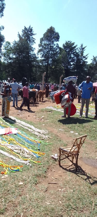 The scene depicts a bustling market setting in Lubao, Kenya, with a large gathering of people amidst a backdrop of trees and lush green grass. The market appears to be centered around the sale and exchange of goods, with vendors and customers interacting. There are approximately 30 people present, with a diverse mix of ages and clothing styles. Several individuals can be seen carrying colorful bundles of fabric or other goods, indicative of trading. In the foreground, numerous coils of colorful rope lay strewn across the ground, potentially suggesting a market for handmade crafts. A solitary wooden chair stands near the center of the frame, seemingly abandoned. The environment is characterized by an open-air setting with a dirt path and a clear sky. The scene portrays a vibrant, bustling atmosphere, reflecting the daily life and commerce of the Lubao community.