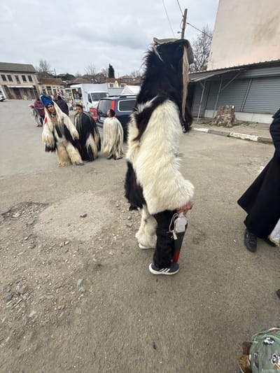 The scene depicts an outdoor gathering on a worn street in Zidarovo, Bulgaria, under an overcast sky. In the immediate foreground on the right, a person is partially visible, wearing black robes and black shoes. Adjacent to them, a central figure in the mid-ground stands facing left, clad in a full-body shaggy costume predominantly black on the back and white on the front, arms, and lower legs. This individual wears white Adidas sneakers with black stripes and holds a dark, possibly wooden, object resembling a club or staff with a metallic cap, upright in their right hand.
Further left in the mid-ground, a group of individuals also wear similar shaggy fur costumes. One prominent figure wears a white fur costume with black accents and a dark blue conical hat, facing slightly left. Next to them is another person in a black fur costume with white accents. A smaller individual, possibly a child, is visible in a white fur costume, facing away. Additional figures in the background, some in similar attire and others in regular clothing, suggest a crowd.
The street surface is a mix of asphalt and compacted dirt, showing significant wear, cracks, potholes, and scattered small stones. In the background, low-rise buildings with aging architecture line the street, some appearing to be storefronts with visible rolled-down shutters, and others residential. Several parked vehicles, including a dark SUV and a white utility van, are present. A utility pole with wires is visible on the right, near a building with a tree stump beside it.