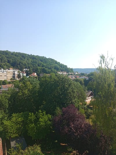 The image depicts a sun-drenched day in Nancy, France, with a clear blue sky dominating the left side of the frame. A dense, verdant forest covers a steep hillside that recedes into the distance on the right. Nestled within the trees are several buildings, characterized by their terracotta roofs and multi-story structures, suggesting a residential or mixed-use area. The architecture appears to be traditional European. The sun casts dappled light through the trees, highlighting the rich green foliage and the textures of the buildings. The overall impression is one of a peaceful, natural setting integrated with human habitation. The time of day is clearly daytime, likely midday or early afternoon, given the bright sunlight and clear sky. No people are visible in the image.