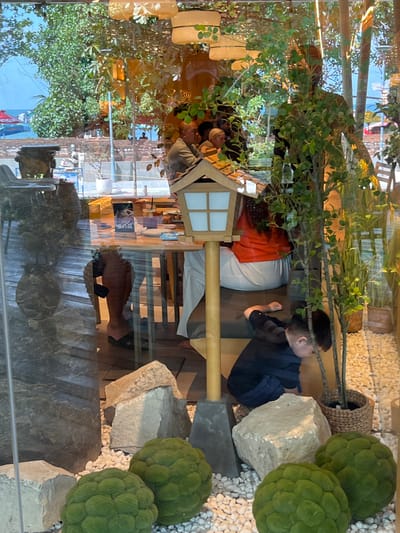 This image, taken in Kuta, Indonesia, appears to be an indoor scene viewed through a glass pane, possibly a shop window or a restaurant. The reflection on the glass distorts the view and creates a layered effect.
The primary subjects are two young boys. One boy, on the right, is wearing a dark blue or black outfit and is looking towards the left. He is positioned near a large, light-colored rock and some decorative green moss balls. The other boy is more obscured, seen from behind, wearing a dark shirt. He appears to be sitting or crouching. Two adults are also partially visible. One is wearing an orange top and light-colored pants, and the other is wearing a grey top.
The setting seems to be a retail space or a themed restaurant, possibly with a Japanese or natural aesthetic. There are plants, both real and artificial, and decorative elements like stones, white pebbles, and a basket. A small wooden structure with a lamp-like feature is also present, resembling a miniature traditional Japanese house. The reflections show trees, buildings, and a blue sky, suggesting the scene is viewed from inside looking out, or vice-versa, with significant reflection.
The lighting suggests it is daytime, with natural light illuminating the scene. The overall mood is somewhat serene, with the presence of children and the natural elements. There is no visible text in the image.
