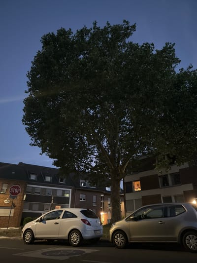 The image shows a residential street in Krefeld, Germany, at dusk or night. Two white cars are parked on the side of the road. The car in the foreground is a silver hatchback, and the car behind it is a white hatchback. Both cars are facing away from the viewer. A large tree with dense foliage dominates the center of the image, its branches reaching towards the night sky. Behind the tree, there are apartment buildings with windows, some of which are illuminated, suggesting people are inside. The sky is a deep blue, indicative of twilight or early night. A red octagonal STOP sign is visible on a pole in the background, along with another smaller sign. The overall atmosphere is calm and quiet, typical of a residential area after dark.