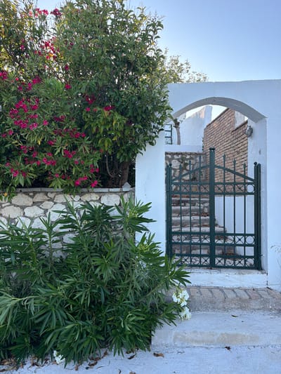 The scene is an outdoor view in the Municipal Unit of Lefkada, Greece. A white, arch-shaped structure stands prominently with a dark green, ornate metal gate behind it. Vegetation is abundant, with a tree on the left bearing pink flowers and another leafy bush with white flowers on the right. A white stone wall and partial brickwork are visible behind the gate. The sky is clear and blue in the upper left of the frame.