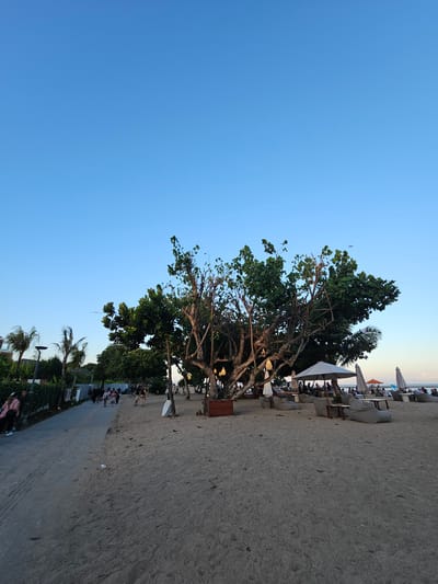 The image depicts a beachside scene at dusk in Denpasar, Indonesia, likely Seminyak Beach, a popular tourist destination. A wide, sandy beach stretches across the foreground, with a paved walkway to the left where several individuals are strolling. Lush greenery, including palm trees, lines the walkway, bordering a building complex. In the center of the image, a large, mature tree with an intricate network of branches stands prominently on the sand. Beneath its canopy, a seating area is set up with beanbag chairs, small tables, and umbrellas, suggesting a relaxed outdoor dining or lounge space. Several people are seated and gathered in this area, enjoying the evening ambiance. The sky above is a clear, pale blue, transitioning towards a warmer hue near the horizon where the sun is setting, casting a soft light on the scene. The overall impression is one of a serene and vibrant beach resort environment.