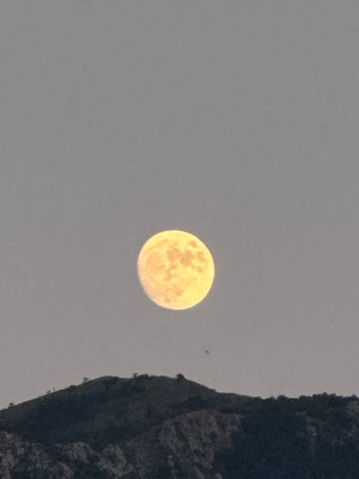 A bright yellow full moon is visible in a hazy grey sky above a dark, mountainous silhouette. The moon is positioned slightly left of center in the frame. The silhouette at the bottom of the image appears to be a rocky, vegetated mountain range, with the outline of trees visible along its crest. The scene is likely a natural landscape. The image does not provide any specific information about the city of Trap, Montenegro.