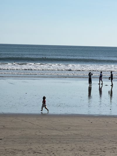 A group of people are captured in silhouette on a beach in Kuta, Indonesia, their figures elongated by the sun's glare on the wet sand. The image, oriented vertically, shows the ocean on the left with gentle waves lapping at the shore, and the sandy beach extending to the right.
In the water, several figures are seen standing, their shadows stretching across the reflective surface. Further up the beach, a child in a red top and white shorts is in mid-stride, appearing to run or jump. The scene suggests a bright, sunny day, likely in the late afternoon or early morning given the long shadows. The overall mood is tranquil, with the natural beauty of the beach setting taking center stage. There is no visible text in the image.