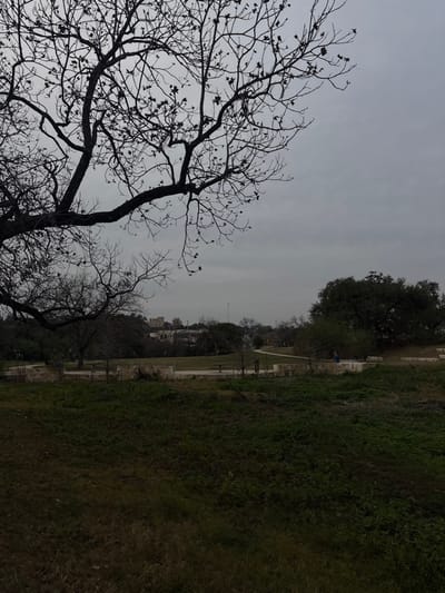A landscape photograph shows bare trees in the foreground, their branches reaching across a cloudy sky. To the right, a grassy slope transitions into a flat area. Buildings are visible in the distance under the gray sky. The scene is captured with a natural color palette, dominated by muted tones, suggesting a cool, possibly overcast day.