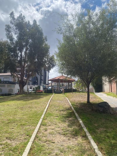 The image captures a sunlit park or green space in what appears to be an urban environment, under a partly cloudy sky. The scene is static, with no discernible human activity.
In the foreground and extending through the lower half of the frame, a grassy area is visible, traversed by a long, straight concrete border or path. Some sections of the grass appear green, while others are drier and more sparsely covered. To the far right, a stone-paved path runs alongside the grass. Shadows from the trees are cast across the ground, indicating bright daylight, likely late morning or early afternoon.
Two large trees are prominent features of the landscape. On the left side, a tree with slender, light green leaves and a visible trunk anchors the mid-ground. Its branches reach towards the sky, partially obscuring the blue and white clouds. Further back and to the left, another mature tree with dense, dark green foliage and a sturdy trunk stands tall, its upper branches also meeting the cloudy sky.
Between and beyond these trees, various man-made structures are visible. A small, open-sided structure with a reddish-brown, possibly terracotta, tiled roof (resembling a gazebo or pavilion) is situated in the mid-ground. Behind it, a modern multi-story building with reflective glass facades stands out, flanked by other, more traditional residential or commercial buildings. Hints of a street with parked vehicles can be seen in the background.
The sky above is a mosaic of bright blue patches and white, fluffy cumulus clouds. No legible text is visible in the image. The setting is indicated by the user as La Paz, Bolivia.